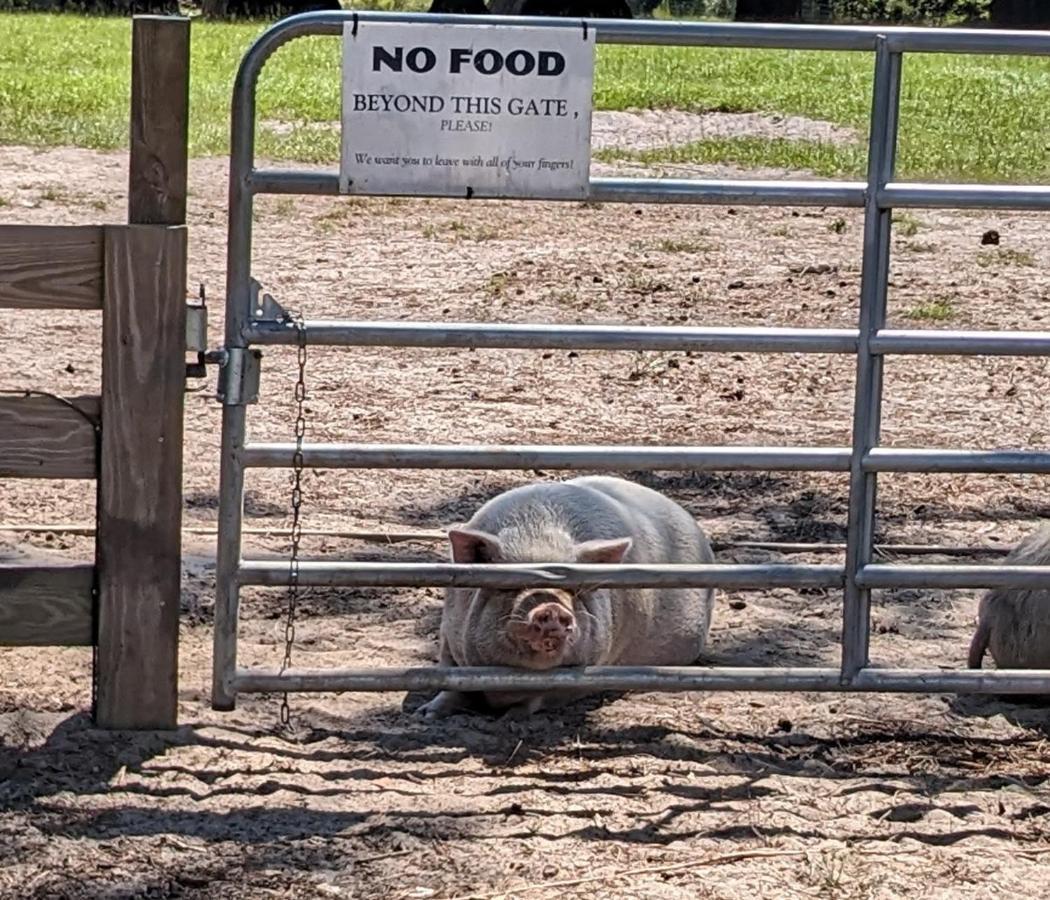 Rooterville Animal Sanctuary Melrose 外观 照片
