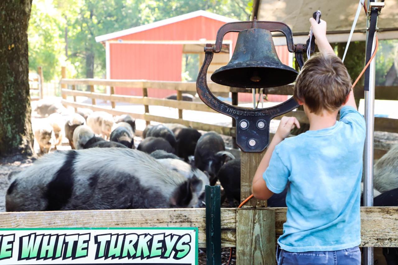 Rooterville Animal Sanctuary Melrose 外观 照片
