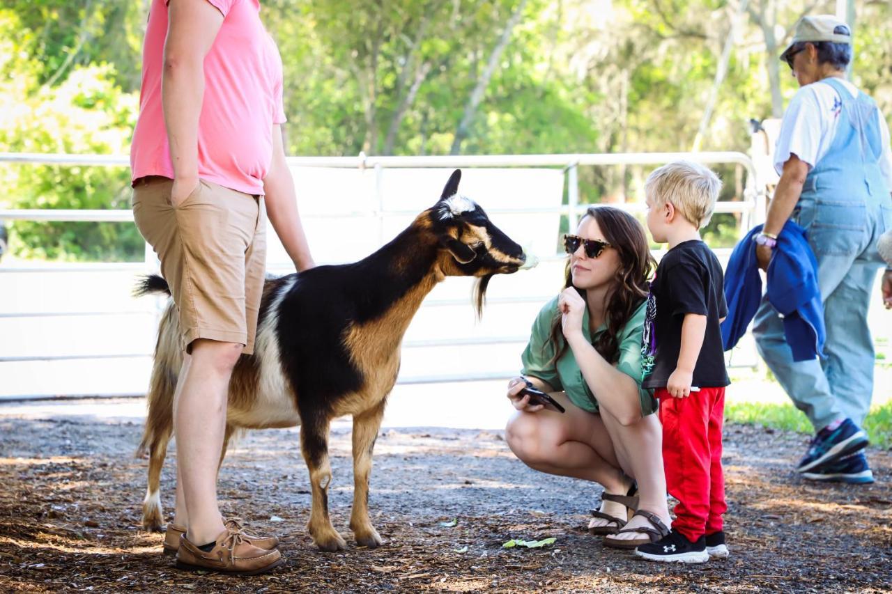 Rooterville Animal Sanctuary Melrose 外观 照片