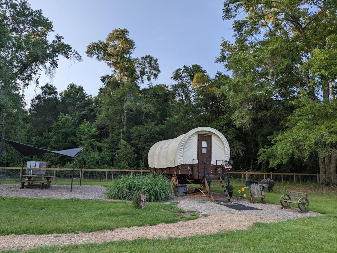 Rooterville Animal Sanctuary Melrose 外观 照片