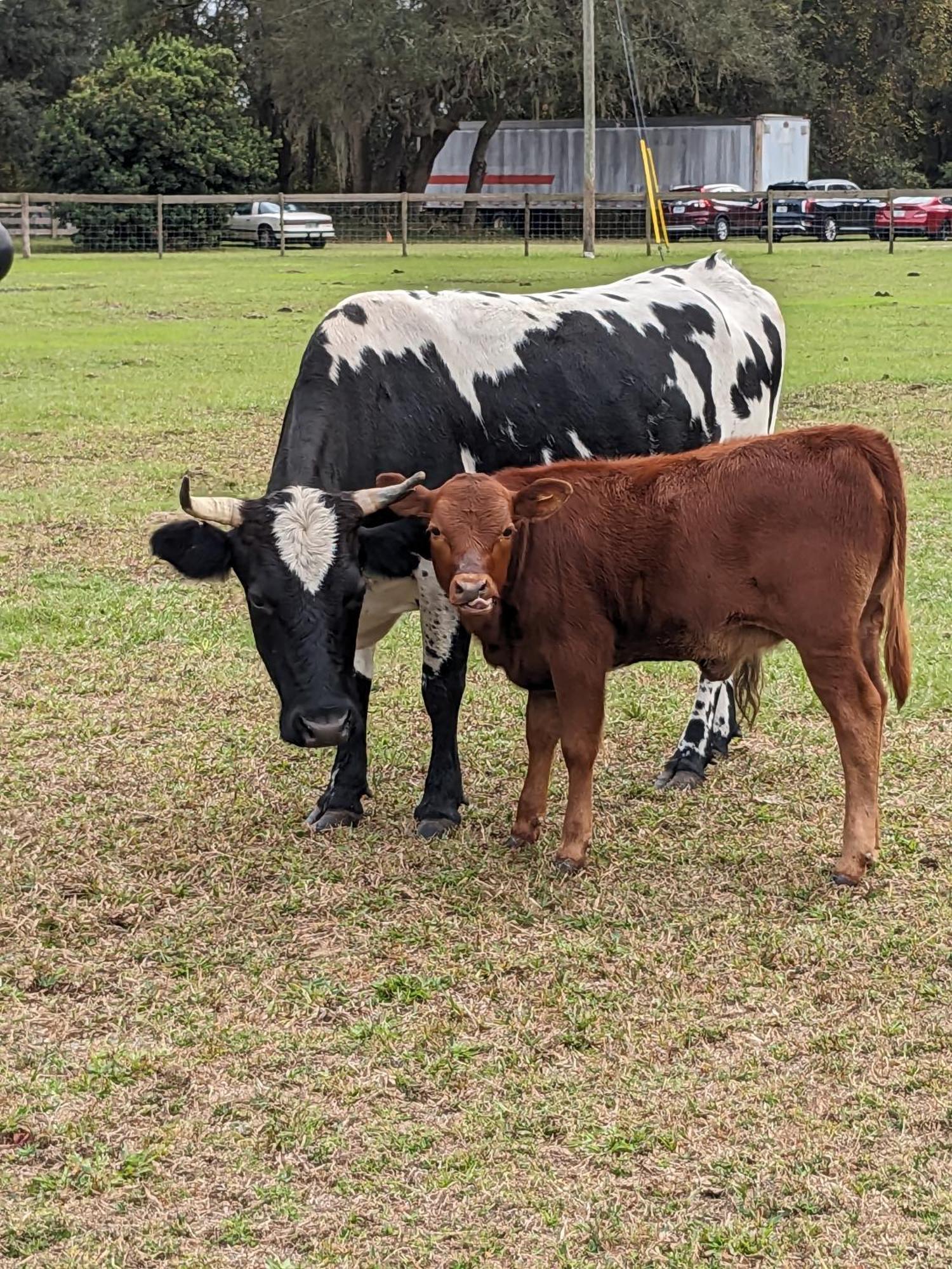 Rooterville Animal Sanctuary Melrose 外观 照片