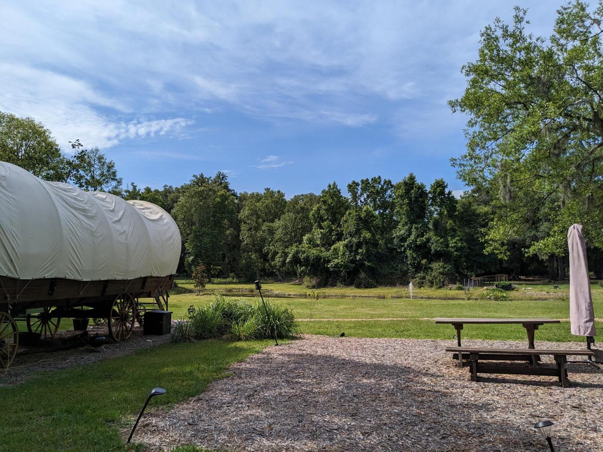 Rooterville Animal Sanctuary Melrose 外观 照片
