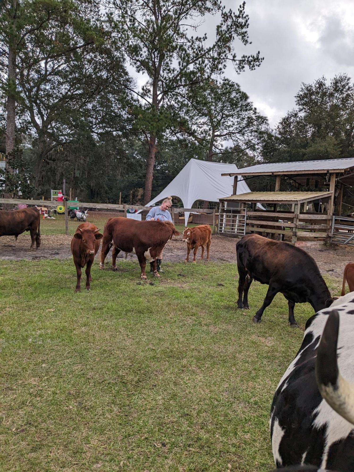 Rooterville Animal Sanctuary Melrose 外观 照片