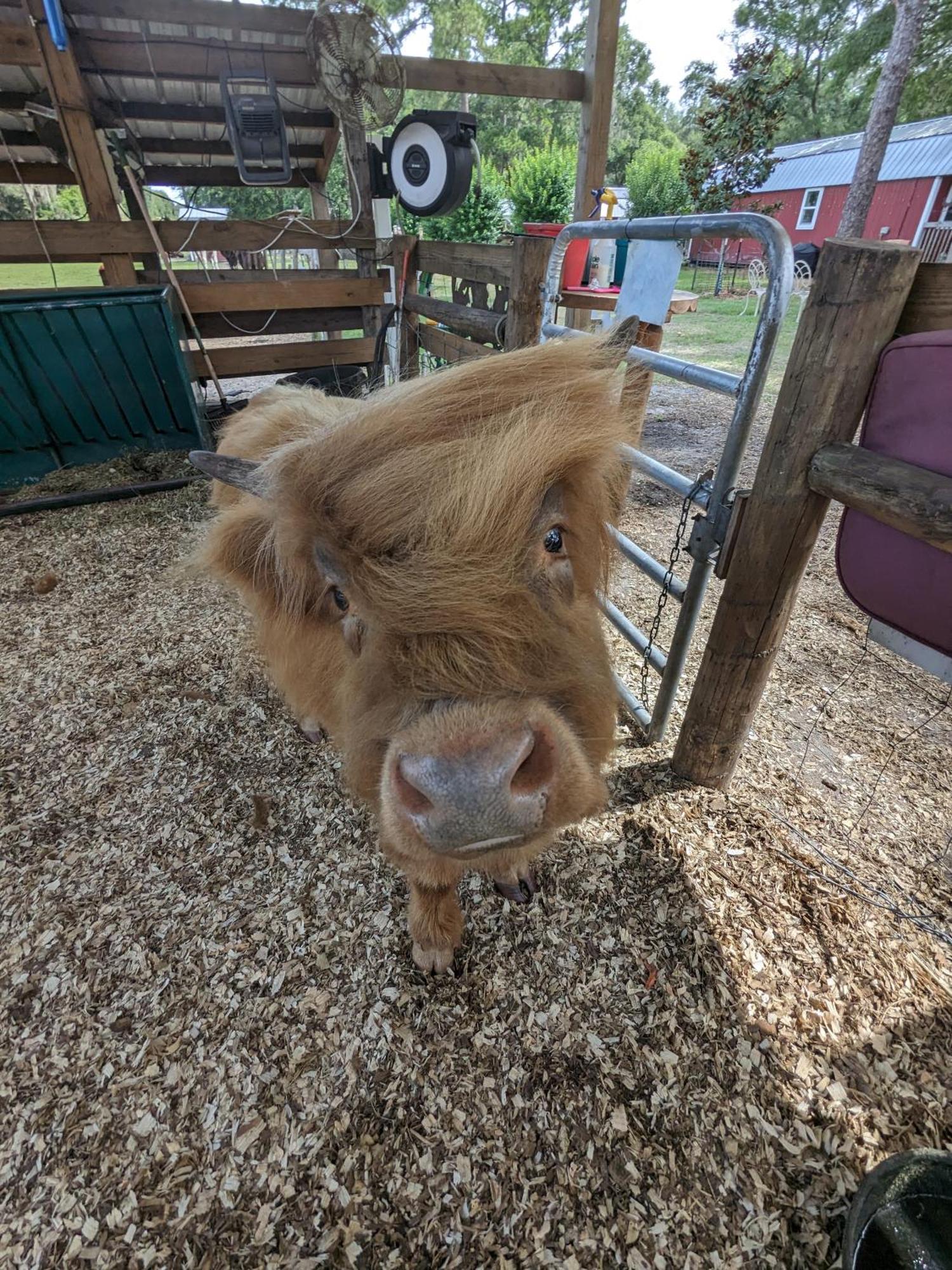 Rooterville Animal Sanctuary Melrose 外观 照片