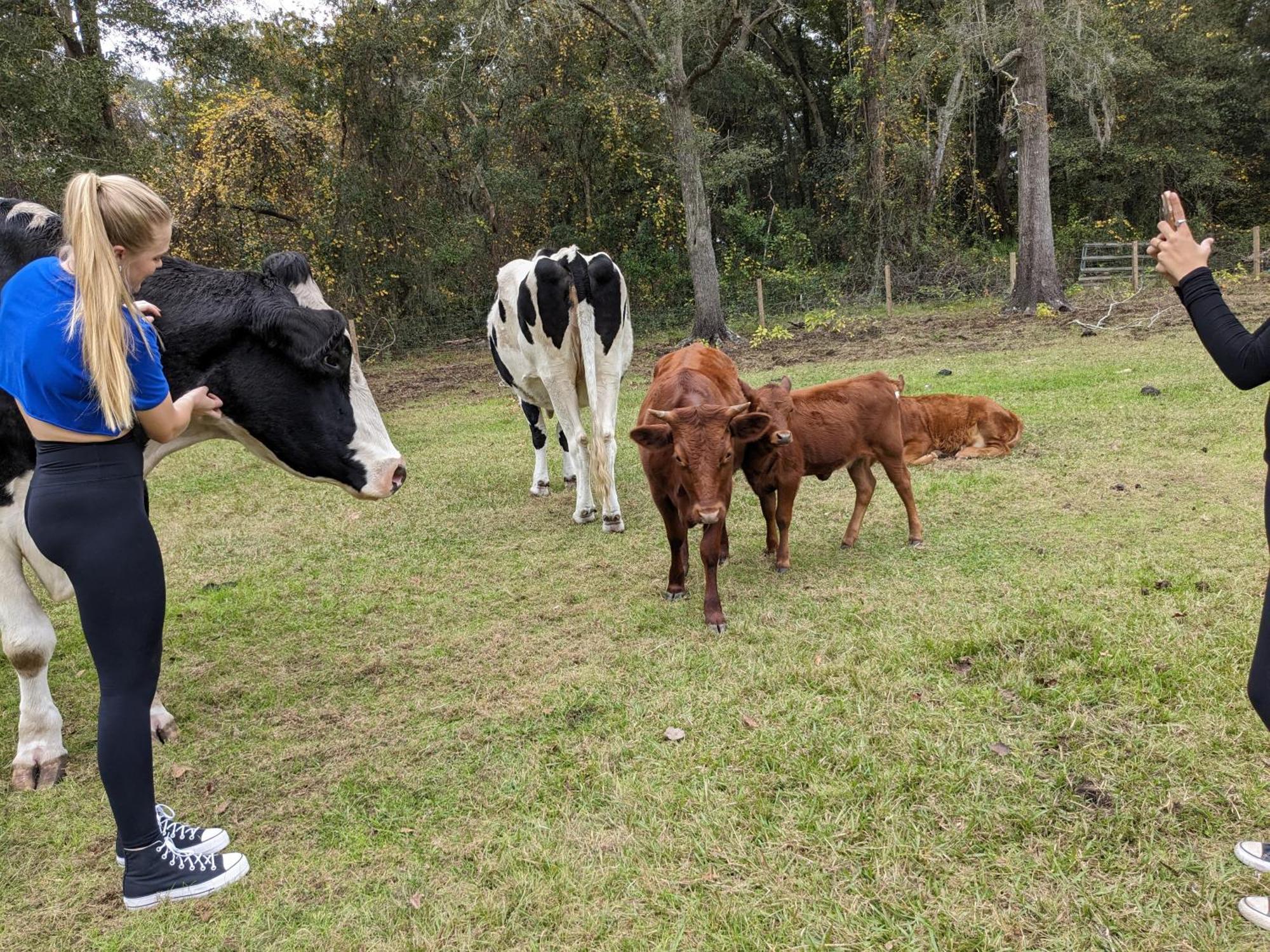 Rooterville Animal Sanctuary Melrose 外观 照片