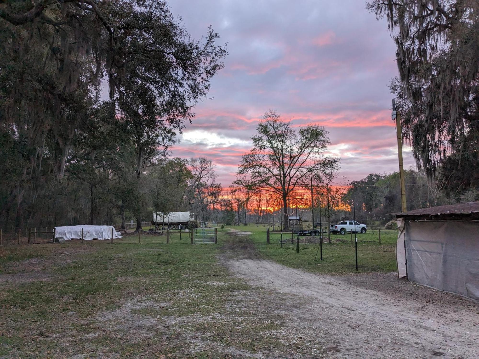 Rooterville Animal Sanctuary Melrose 外观 照片